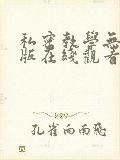 私密教学无删减版在线观看封面