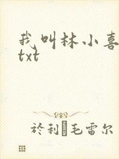 我叫林小喜全文txt