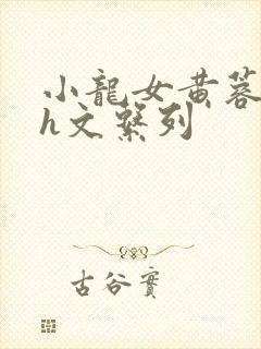 小龙女黄蓉高辣h文系列封面