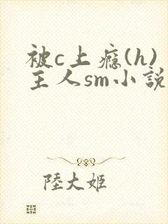 被c上瘾(h)主人sm小说