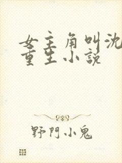 女主角叫沈晚的重生小说