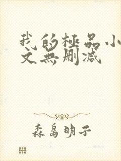 我的极品小姨全文无删减封面