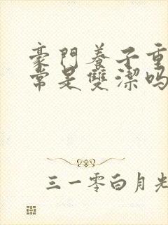 豪门养子重生日常是双洁吗