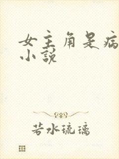 女主角是病娇的小说