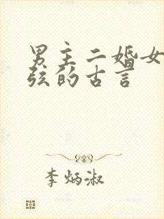 男主二婚女主续弦的古言封面