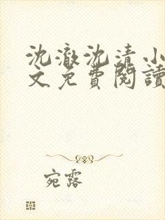 沈澈沈清小说全文免费阅读最新章节