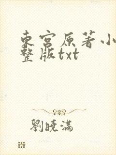 东宫原著小说完整版txt