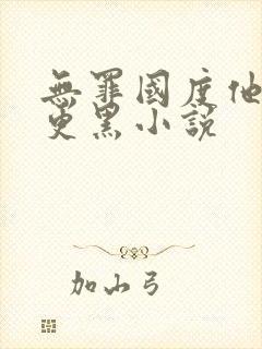 无罪国度他比夜更黑小说