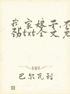 我家娘子,不对劲txt全文免费阅读