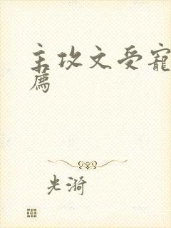 主攻文受宠攻推荐