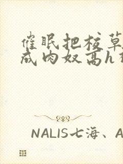 催眠把校草调教成肉奴高h视频