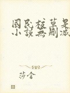 国民校草是女生小说无删减封面