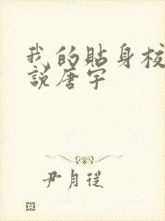 我的贴身校花小说唐宇