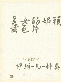 美女的奶头一级黄色片