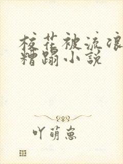 校花被流浪汉强糟蹋小说