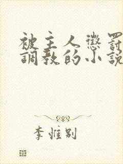 被主人惩罚玩弄调教的小说