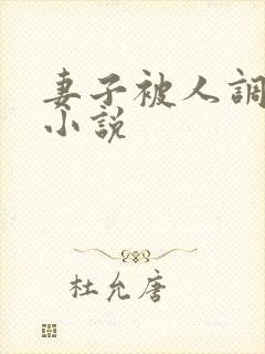 妻子被人调教类小说