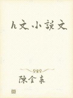 h文小说文