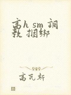 高h sm 调教 捆绑