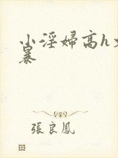 小淫妇高h文黄暴