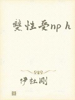 双性受np h封面