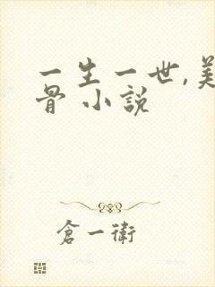 一生一世,美人骨 小说封面