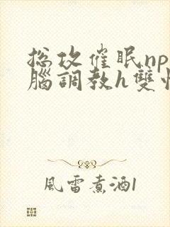 总攻催眠np洗脑调教h双性封面