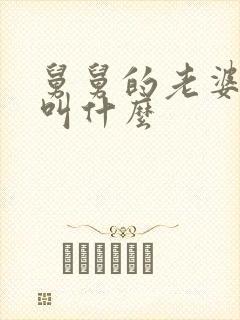 舅舅的老婆应该叫什么