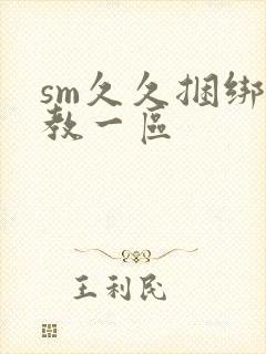 sm久久捆绑调教一区