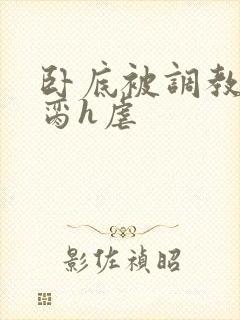 卧底被调教成禁脔h虐