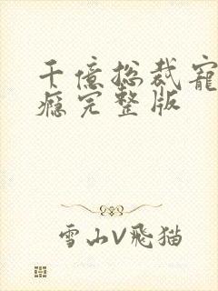 千亿总裁宠妻成瘾完整版