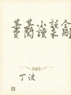 某某小说全文免费阅读未删减版