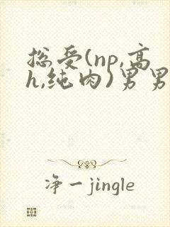 总受(np,高h,纯肉)男男文