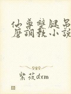 仙尊双腿吊起折磨调教小说