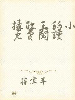 摄政王的小闲妻免费阅读