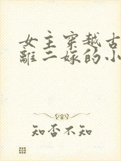 女主穿越古代和离二嫁的小说