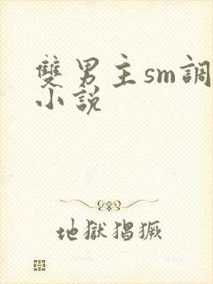 双男主sm调教小说