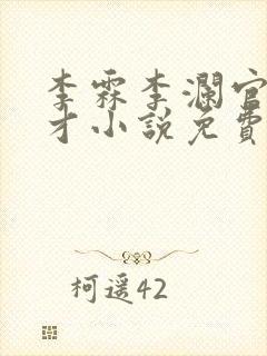 李霖李澜官场奇才小说免费阅读