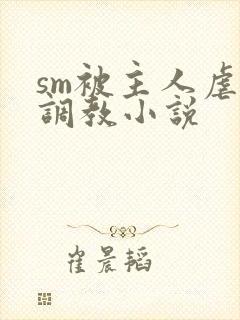 sm被主人虐玩调教小说封面