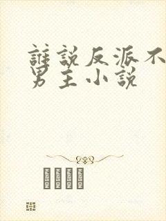 谁说反派不能做男主小说