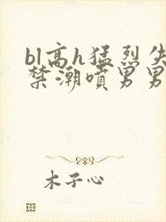 bl高h猛烈失禁潮喷男男