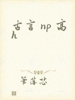 古言 np 高h