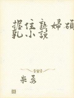 握住熟妇硕大双乳小说