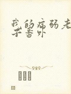 我的病弱老婆生子番外