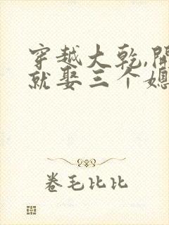 穿越大乾,开局就娶三个媳妇在线封面