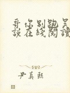 哥你别跑吴比小说在线阅读