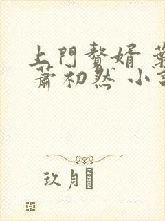 上门赘婿 叶辰 萧初然 小说封面