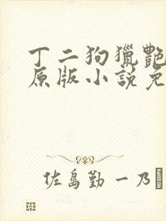 丁二狗猎艳人生原版小说免费阅读