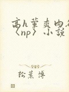 高h荤爽肉欲文〈np〉小说
