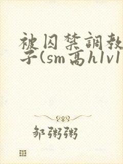 被囚禁调教的日子(sm高h1v1